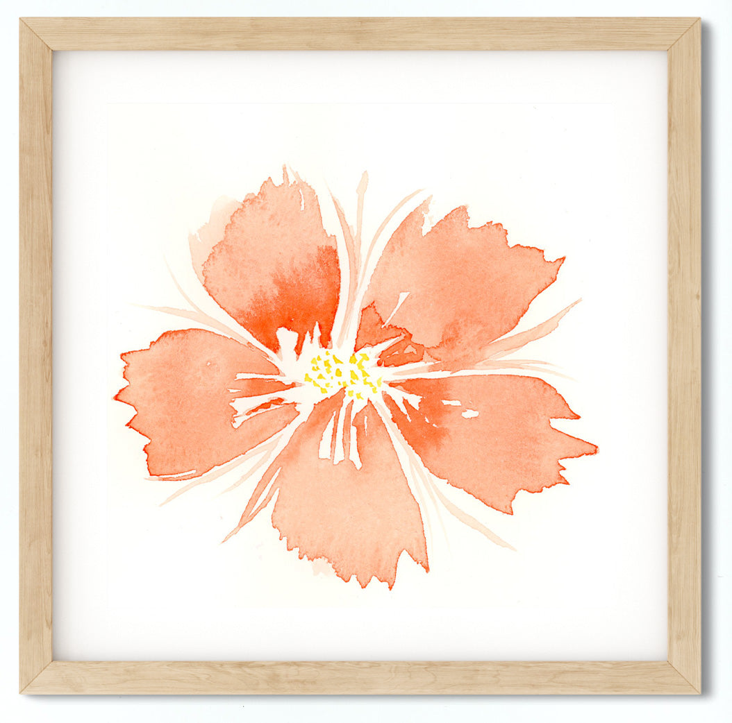 "Coral Flower" Original Watercolor Painting