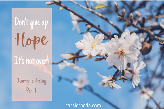 Journey To Healing Part 1