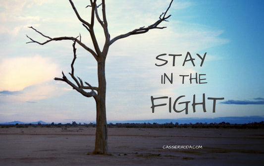 STAY IN THE FIGHT